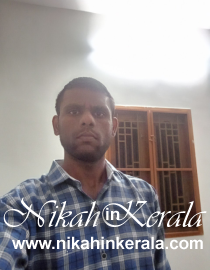 Education based  Muslim Brides profile 490560