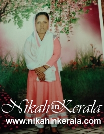Sect based  Muslim Brides profile 326841