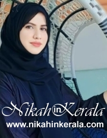 Diploma Muslim Grooms profile 462048