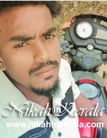 Job based  Muslim Grooms profile 540639