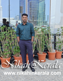 Education based  Muslim Grooms profile 552802