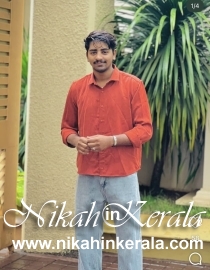 Animator Muslim Brides profile 559280