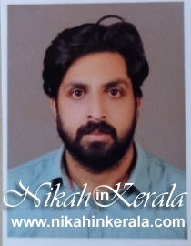 Education based  Muslim Brides profile 514242