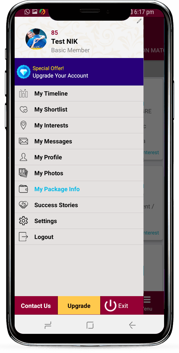 image of the iPhone app